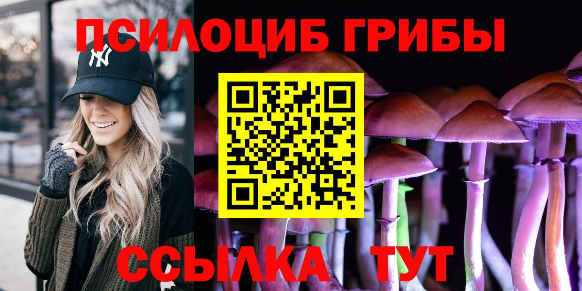Псилоцибиновые грибы Psilocybe Похвистнево